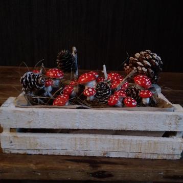 Paddenstoelen decoratie in kistje  beschikbaar voor biedingen