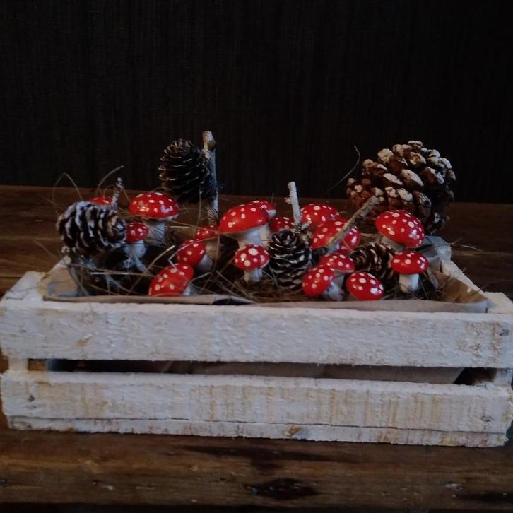 Paddenstoelen decoratie in kistje, Diversen, Kerst, Gebruikt, Verzenden