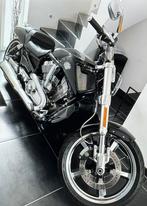 KOORDSPIER, Motoren, Motoren | Harley-Davidson, 2 cilinders, Cruise Control, Chopper, Particulier