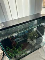 Superfish home 85, Ophalen, Gebruikt