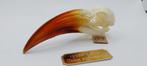 Hornbill rariteitenkabinet, Ophalen of Verzenden