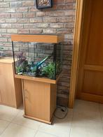 aquarium Juwel 120 litres avec meuble, Comme neuf, Enlèvement