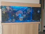 Aquarium Juwel rio 180 met kast, Dieren en Toebehoren, Gebruikt, Ophalen, Leeg aquarium