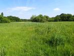 Recherche herbe sur pieds region chimay cul des sarts, Immo, Gronden en Bouwgronden
