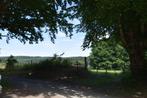 Terrain à vendre à Gouvy, Tot 200 m²