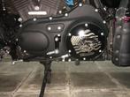 Harley davidson inspectie cover, Ophalen, Gebruikt