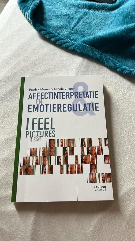 N. Vliegen - I feel Pictures test, Boeken, Psychologie, Zo goed als nieuw, Ophalen