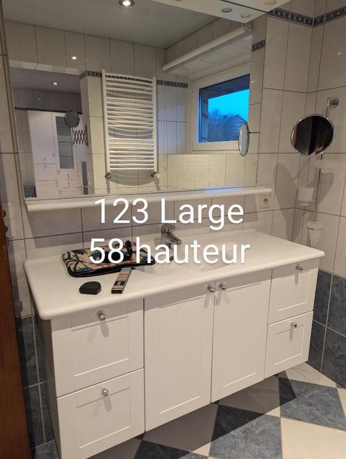 Meubles Salle de bain -baignoire balnéo -, Huis en Inrichting, Badkamer | Complete badkamers, Zo goed als nieuw, Met bad, Met douche