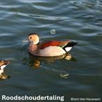 Roodschoudertaling kweekman 2022, Mannelijk, Eend