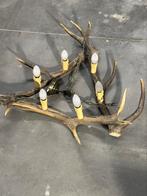 Gewei lamp, Ophalen of Verzenden