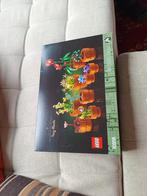 LEGO botanicals 10329 - Tiny Plants NIEUW, Kinderen en Baby's, Speelgoed | Duplo en Lego, Ophalen, Nieuw, Lego