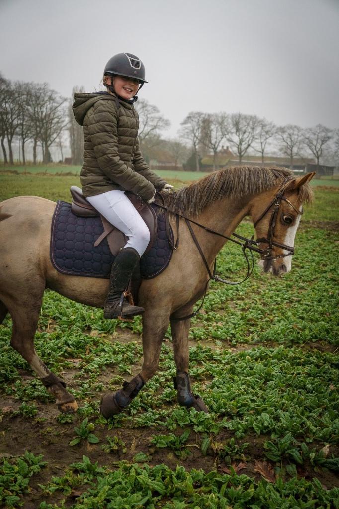 Te koop: Top betrouwbare pony – 15 jaar, Animaux & Accessoires, Poneys, Hongre, Poney C (1.27 m à 1.37m)