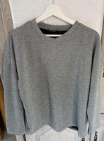 Blouse pour les fêtes - gris argenté brillant -Taille unique, Kleding | Dames, Blouses en Tunieken, Ophalen, Maat 42/44 (L), Nieuw