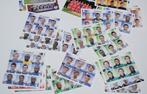 Panini Foot 2012 / Lagere afdelingen + Dames / 97 stickers, Verzamelen, Verzenden, Nieuw, Poster, Plaatje of Sticker