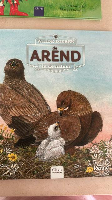 Renne - De arend beschikbaar voor biedingen