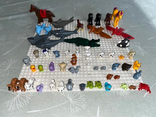 Lego dieren (haai - krokodil - dolfijn - kat ...), Kinderen en Baby's, Speelgoed | Duplo en Lego, Zo goed als nieuw, Lego, Ophalen of Verzenden