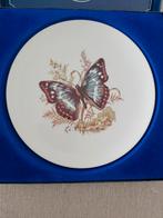 Vlinder wandbord tettau, Ophalen