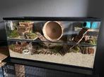 Terrarium voor kleine knaagdieren, Animaux & Accessoires, Neuf, Enlèvement ou Envoi, Niche, Moins de 60 cm