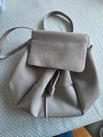 Grijze rugzak Carpisa - in prima staat, Handtassen en Accessoires, Tassen | Damestassen, Ophalen of Verzenden