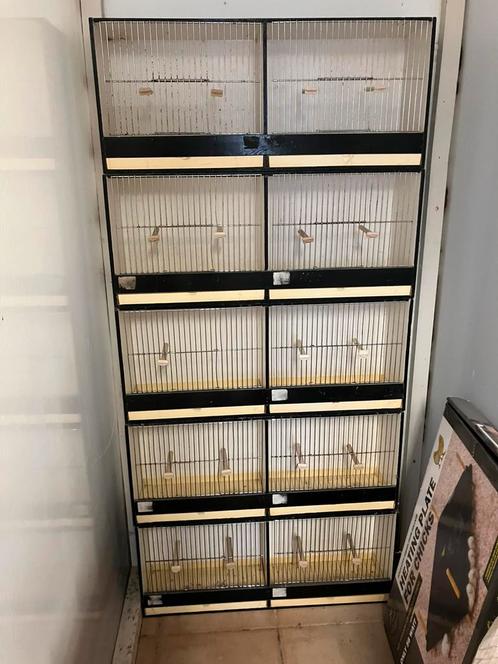 Te koop tt. En Kweekkooien, Dieren en Toebehoren, Vogels | Hokken en Kooien, Gebruikt, Ophalen
