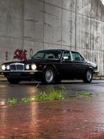 Jaguar daimler double six, Autos, Cuir, Autres couleurs, Noir, 5 places