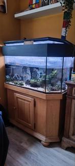 Aquarium 400l met wat spullen bij, Dieren en Toebehoren