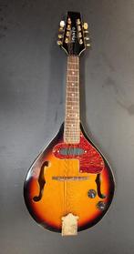 Mandoline, Muziek en Instrumenten, Snaarinstrumenten | Mandolines, Ophalen, Gebruikt