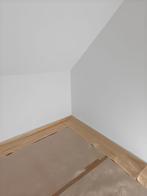 Peinture maison & appartement – main-d’œuvre uniquement, Horaire variable, À partir de 10 ans, Autres formes, Convient comme travail d'appoint