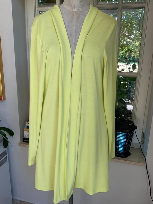 Lange vest Caroll, maat 42, Kleding | Dames, Truien en Vesten, Maat 42/44 (L), Ophalen of Verzenden