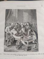 boek: uit de natuurwetenschap//Louis Figuier - 1879- NL, Ophalen of Verzenden