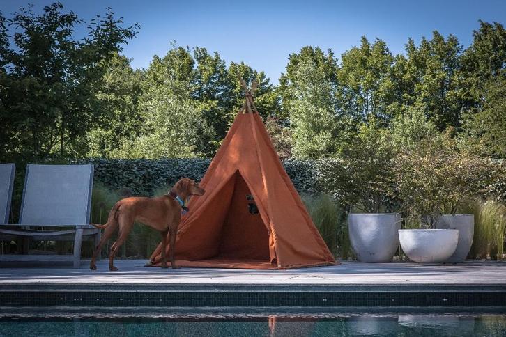 Autentic Tiptoe Tipi Kids Tent – NIEUW, nooit gebruikt, Caravans en Kamperen, Tenten, Nieuw, Ophalen