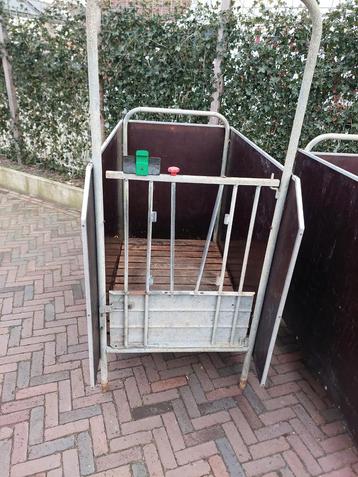 12 spinder eenlingboxen, eenlingbox, kalveren, runderen beschikbaar voor biedingen