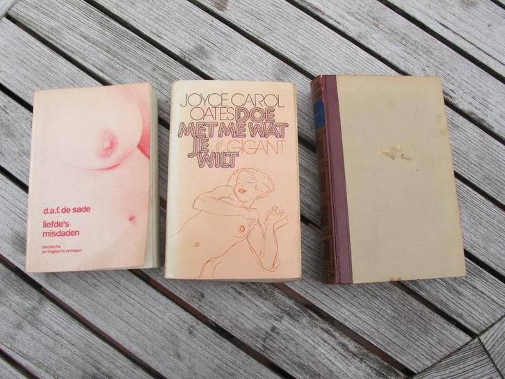 Boeken uit de nalatenschap van auteur Gaston van Camp, Boeken, Romans, Gelezen, België, Ophalen of Verzenden