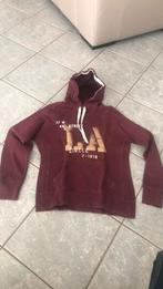 Hoodie sweater maat M, Kleding | Dames, Ophalen of Verzenden, Zo goed als nieuw, Maat 38/40 (M)