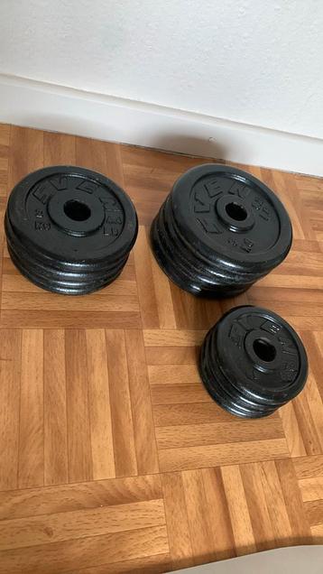 Set van 24 kg gietijzeren schijven van SVEN beschikbaar voor biedingen