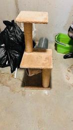 Krabpaal kittens, Ophalen, Nieuw, Krabpaal