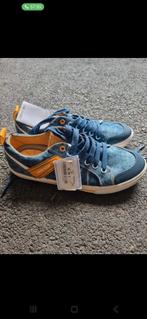 Basket Geox garçon., Ophalen of Verzenden, Nieuw, Jongen