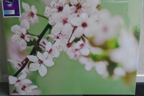 SCHILDERIJ CANVAS LENTE BLOESEM, 80x60 cm Nieuw, Huis en Inrichting, Woonaccessoires | Schilderijen, Tekeningen en Foto's, Nieuw