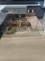 Luxe hamsterkooi, Dieren en Toebehoren, Ophalen, Zo goed als nieuw, Kooi, Hamster