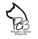 Pension canine familiale Belgrade "Namur" Comportementaliste, Dieren en Toebehoren, Ophalen
