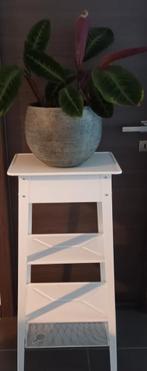 Plantenstandaard (pedestal), Ophalen, Zo goed als nieuw