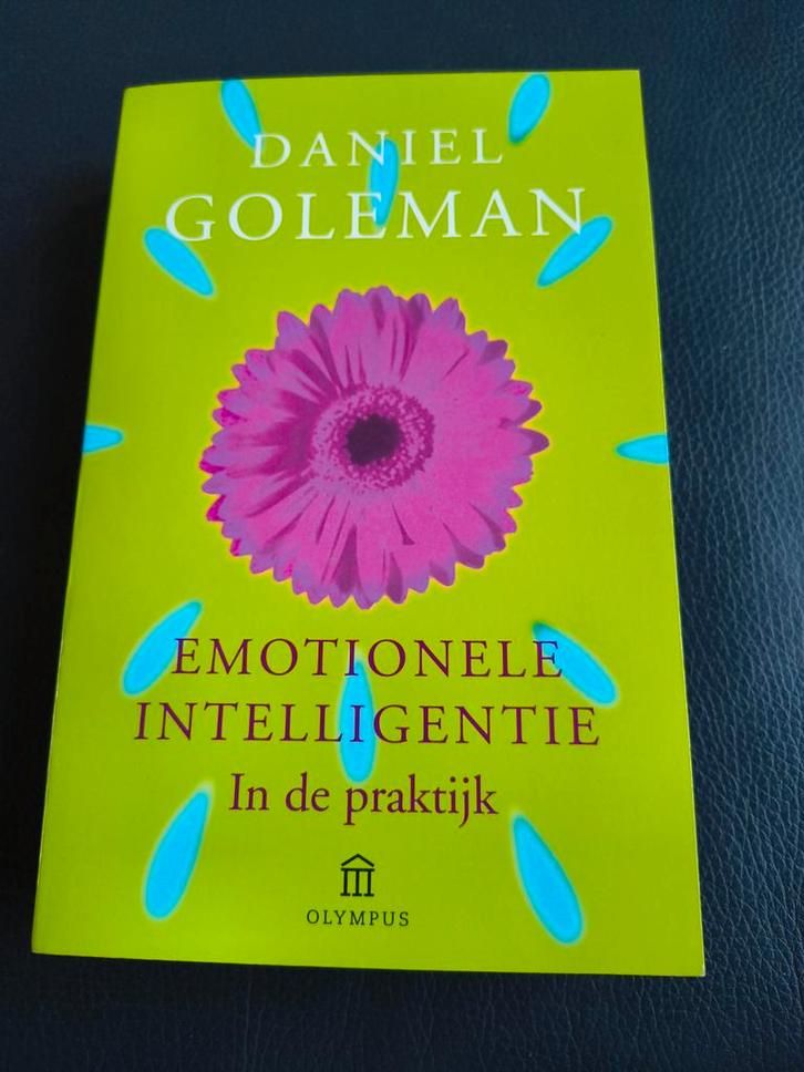 Daniel Goleman - Emotionele intelligentie in de praktijk, Boeken, Psychologie, Ophalen