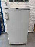 diepvries merk Liebherr, Elektronische apparatuur, Vriezers en Diepvrieskisten, Ophalen, Gebruikt, Vrieskist