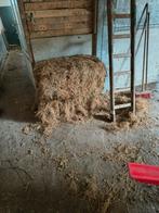 Oude hooibalen gratis op te halen 50 stuks, Dieren en Toebehoren, Schapen, Geiten en Varkens