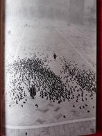 Fulvio Roiter     Photos, Antiquités & Art, Enlèvement ou Envoi