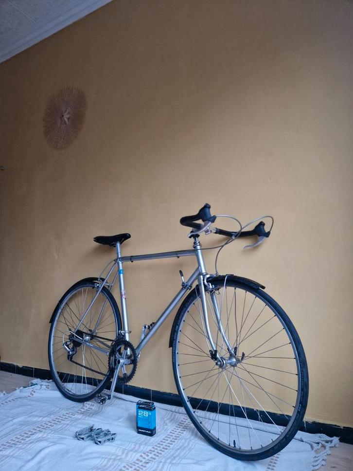 Vélo Ludo Prof Team, Vélos & Vélomoteurs, Vélos | Vélos de course, 28 pouces, Enlèvement