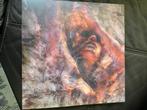 Converge - unloved and weeded out, CD & DVD, Vinyles | Autres Vinyles, Comme neuf, Enlèvement