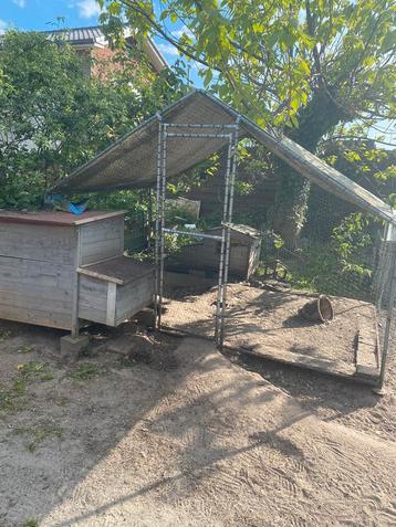 Kippenren met hok en chickenguard beschikbaar voor biedingen
