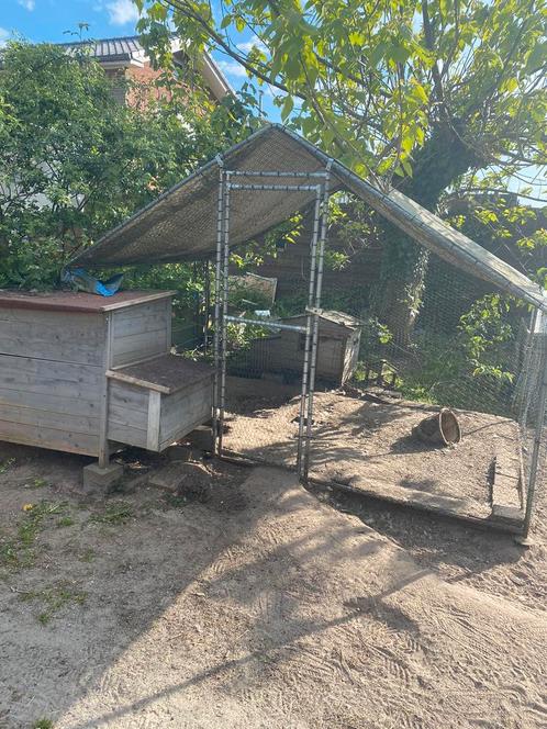 Kippenren met hok en chickenguard, Dieren en Toebehoren, Pluimvee | Toebehoren, Gebruikt, Kippenhok of Kippenren, Ophalen