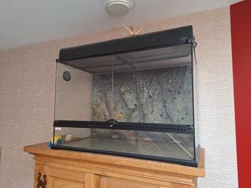 Terrarium met lampenkap  beschikbaar voor biedingen